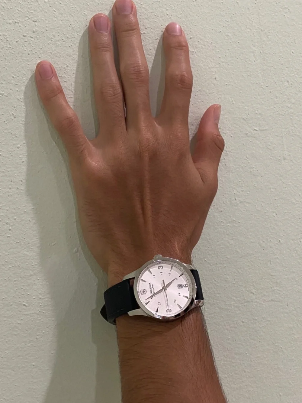 Victorinox Swiss Army Alliance Watch,